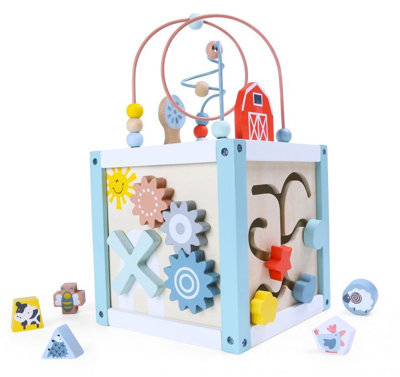 ECOTOYS Houten Activiteitenkubus 5-in-1 - Vormenstoof & Kralenbaan