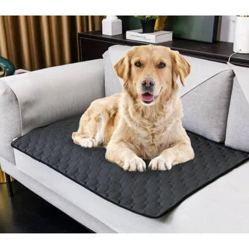 Purlov Herbruikbare Puppy Trainingsmat - 70x50 cm - Absorberend - Waterdicht - Antislip