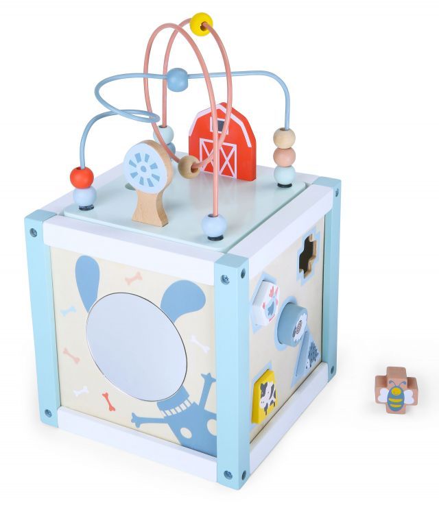 ECOTOYS Houten Activiteitenkubus 5-in-1 - Vormenstoof & Kralenbaan
