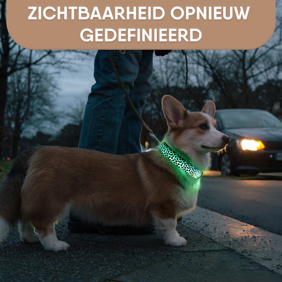 Furley’s Lichtgevende LED Hondenhalsband - 3 Lichtstanden